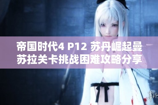 帝国时代4 P12 苏丹崛起曼苏拉关卡挑战困难攻略分享