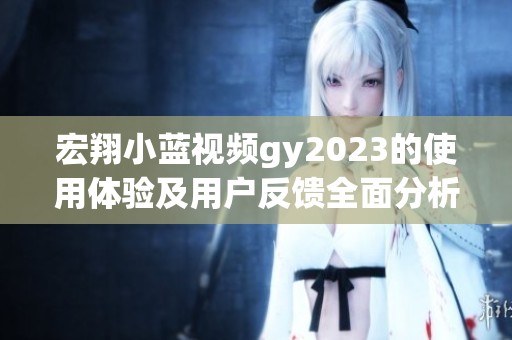 宏翔小蓝视频gy2023的使用体验及用户反馈全面分析