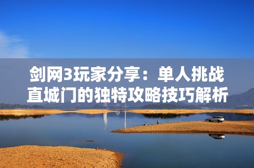 剑网3玩家分享：单人挑战直城门的独特攻略技巧解析
