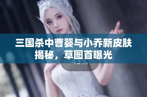 三国杀中曹婴与小乔新皮肤揭秘，草图首曝光