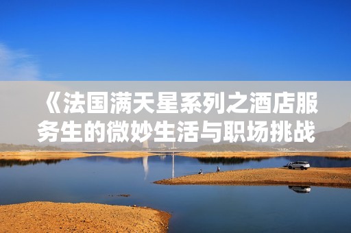 《法国满天星系列之酒店服务生的微妙生活与职场挑战》