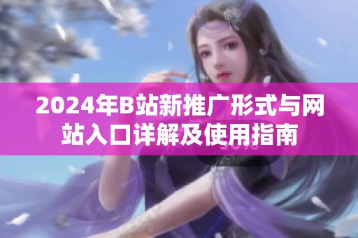 2024年B站新推广形式与网站入口详解及使用指南