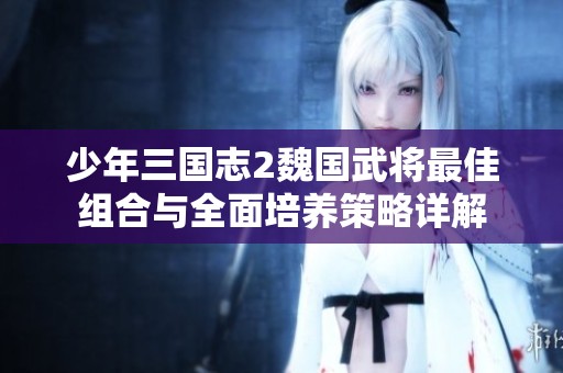 少年三国志2魏国武将最佳组合与全面培养策略详解