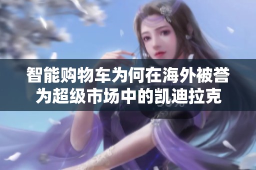 智能购物车为何在海外被誉为超级市场中的凯迪拉克