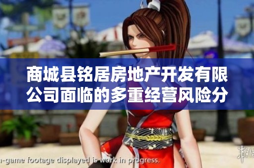 商城县铭居房地产开发有限公司面临的多重经营风险分析与应对策略