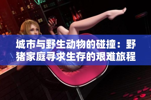 城市与野生动物的碰撞：野猪家庭寻求生存的艰难旅程