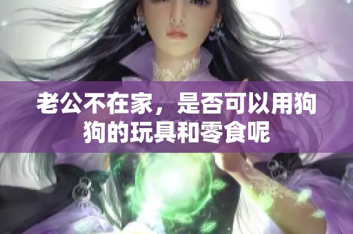 老公不在家，是否可以用狗狗的玩具和零食呢