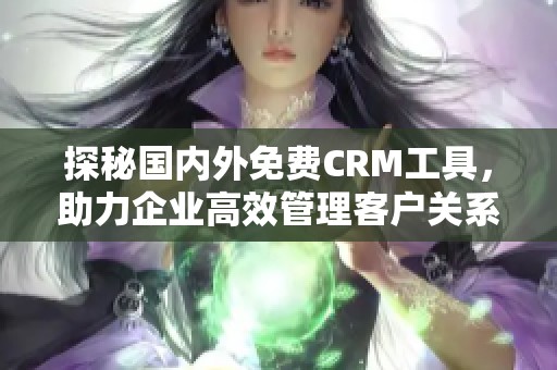 探秘国内外免费CRM工具，助力企业高效管理客户关系