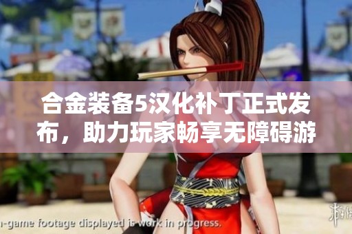 合金装备5汉化补丁正式发布，助力玩家畅享无障碍游戏体验