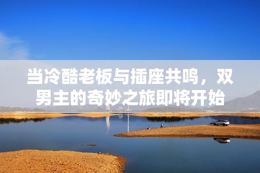 当冷酷老板与插座共鸣，双男主的奇妙之旅即将开始