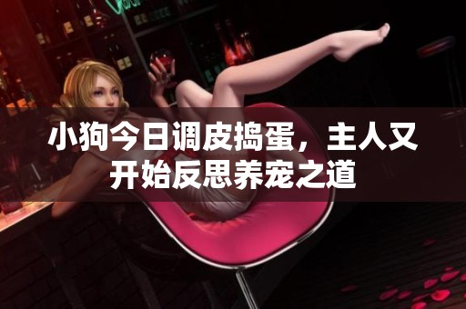 小狗今日调皮捣蛋，主人又开始反思养宠之道