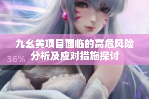 九幺黄项目面临的高危风险分析及应对措施探讨