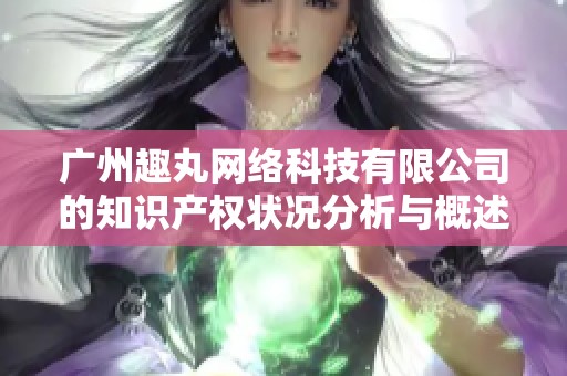 广州趣丸网络科技有限公司的知识产权状况分析与概述