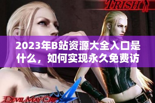 2023年B站资源大全入口是什么，如何实现永久免费访问