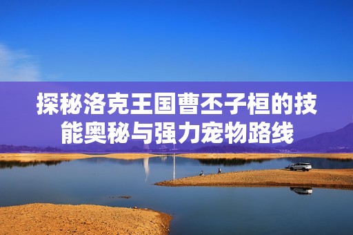 探秘洛克王国曹丕子桓的技能奥秘与强力宠物路线