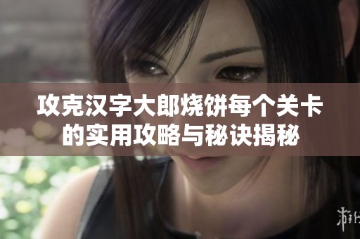攻克汉字大郎烧饼每个关卡的实用攻略与秘诀揭秘