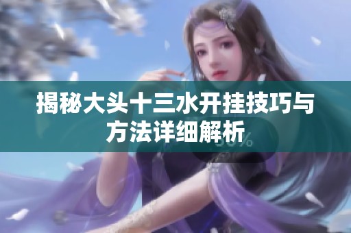 揭秘大头十三水开挂技巧与方法详细解析