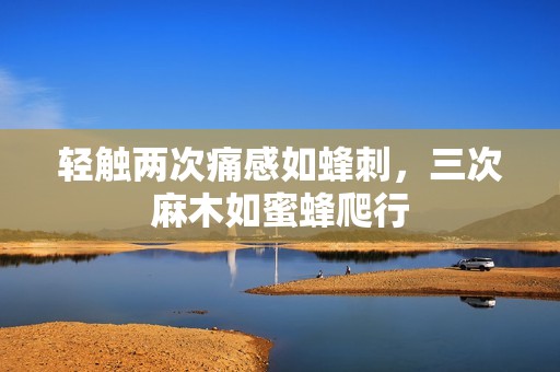 轻触两次痛感如蜂刺，三次麻木如蜜蜂爬行
