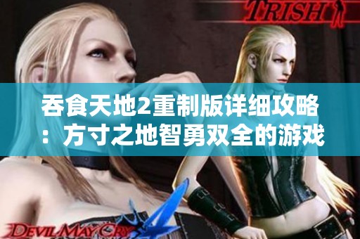 吞食天地2重制版详细攻略：方寸之地智勇双全的游戏秘籍