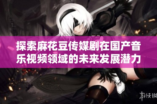 探索麻花豆传媒剧在国产音乐视频领域的未来发展潜力