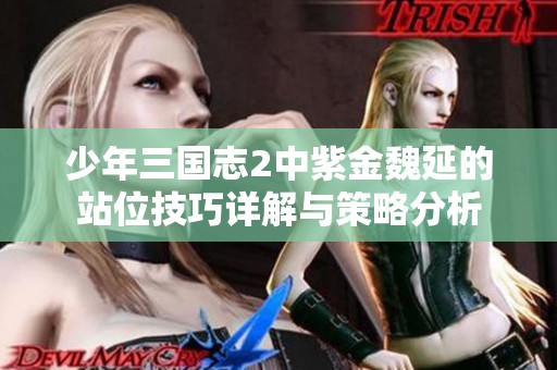 少年三国志2中紫金魏延的站位技巧详解与策略分析