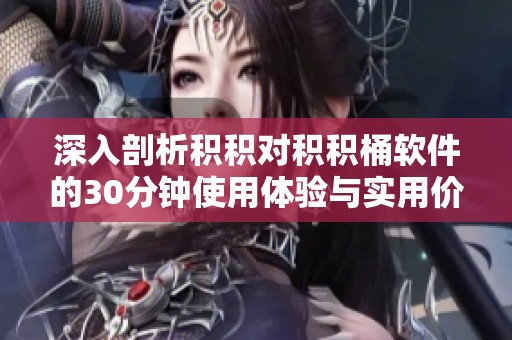 深入剖析积积对积积桶软件的30分钟使用体验与实用价值