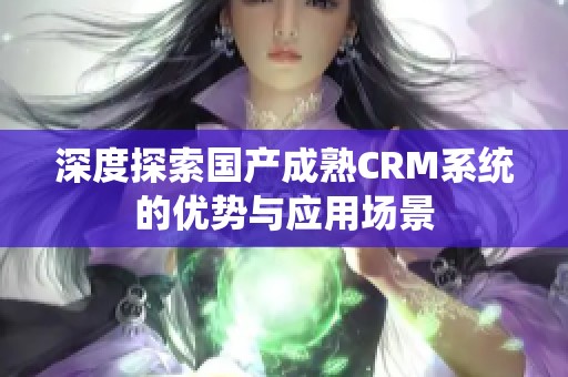 深度探索国产成熟CRM系统的优势与应用场景