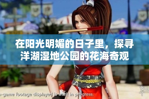 在阳光明媚的日子里，探寻洋湖湿地公园的花海奇观