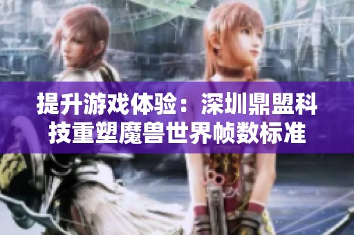 提升游戏体验：深圳鼎盟科技重塑魔兽世界帧数标准