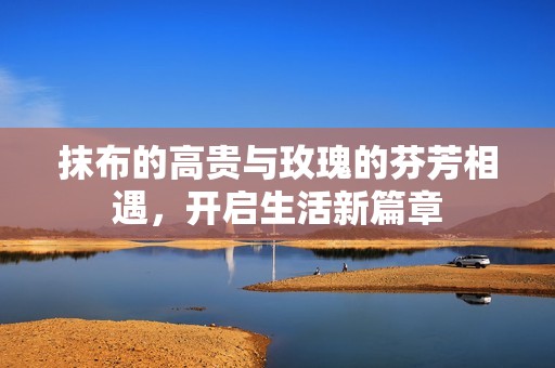 抹布的高贵与玫瑰的芬芳相遇，开启生活新篇章