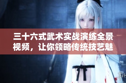 三十六式武术实战演练全景视频，让你领略传统技艺魅力