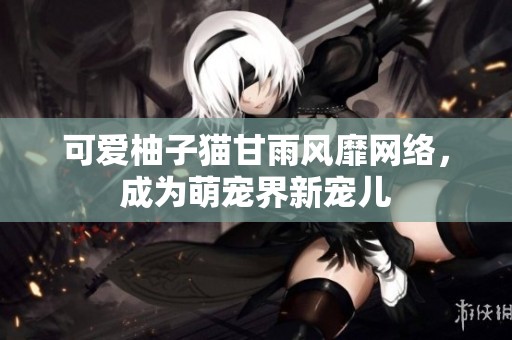 可爱柚子猫甘雨风靡网络，成为萌宠界新宠儿