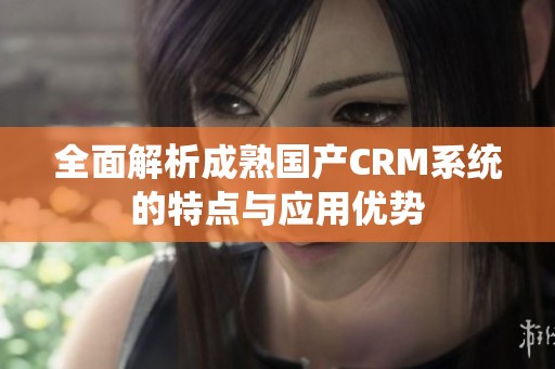 全面解析成熟国产CRM系统的特点与应用优势
