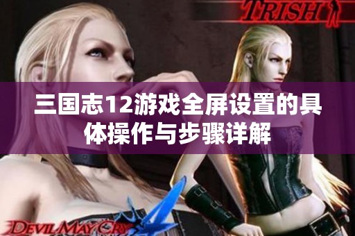 三国志12游戏全屏设置的具体操作与步骤详解