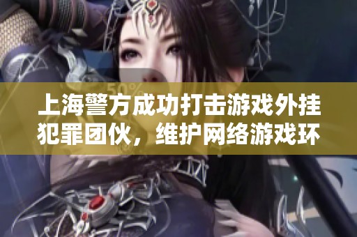 上海警方成功打击游戏外挂犯罪团伙，维护网络游戏环境