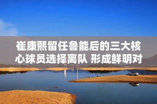 崔康熙留任鲁能后的三大核心球员选择离队 形成鲜明对比