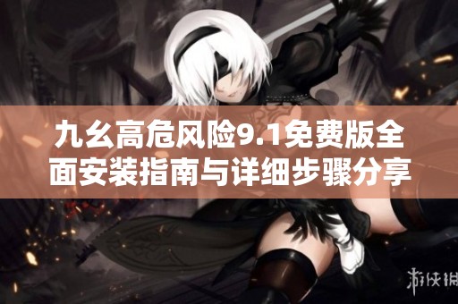 九幺高危风险9.1免费版全面安装指南与详细步骤分享