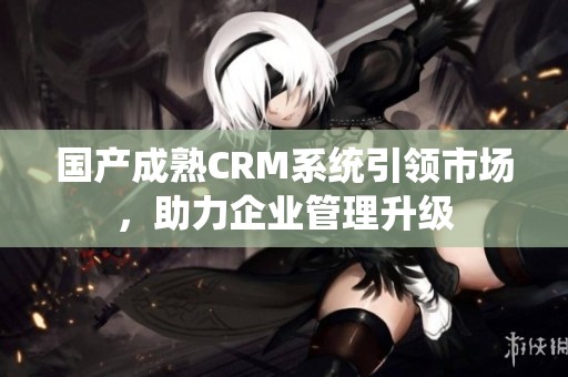 国产成熟CRM系统引领市场，助力企业管理升级