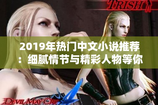 2019年热门中文小说推荐：细腻情节与精彩人物等你来读