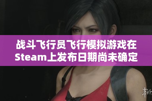 战斗飞行员飞行模拟游戏在Steam上发布日期尚未确定