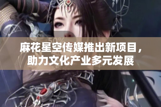 麻花星空传媒推出新项目，助力文化产业多元发展