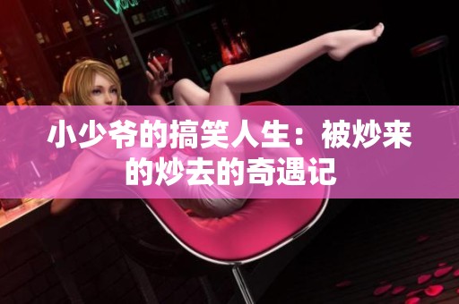 小少爷的搞笑人生：被炒来的炒去的奇遇记