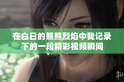 在白日的熊熊烈焰中我记录下的一段精彩视频瞬间