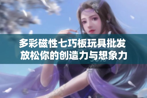 多彩磁性七巧板玩具批发 放松你的创造力与想象力