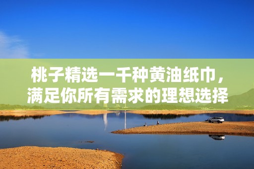 桃子精选一千种黄油纸巾，满足你所有需求的理想选择