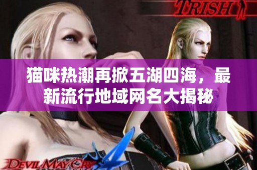 猫咪热潮再掀五湖四海，最新流行地域网名大揭秘