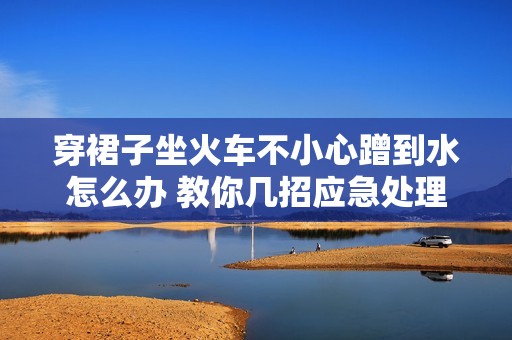 穿裙子坐火车不小心蹭到水怎么办 教你几招应急处理技巧