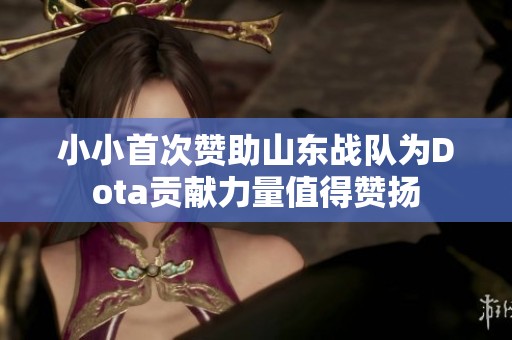 小小首次赞助山东战队为Dota贡献力量值得赞扬