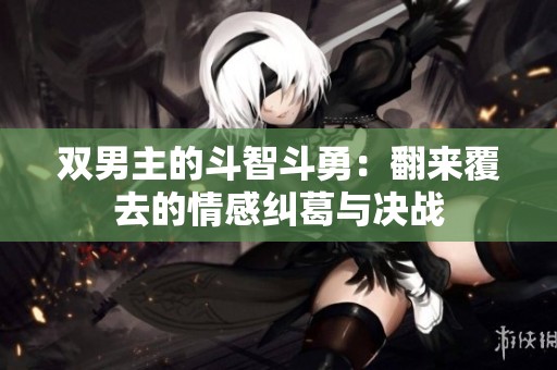 双男主的斗智斗勇：翻来覆去的情感纠葛与决战