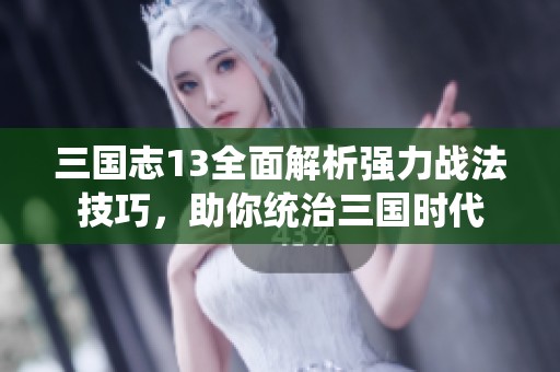 三国志13全面解析强力战法技巧，助你统治三国时代